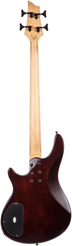 Schecter SGR C-4 BASS WSN фото 2